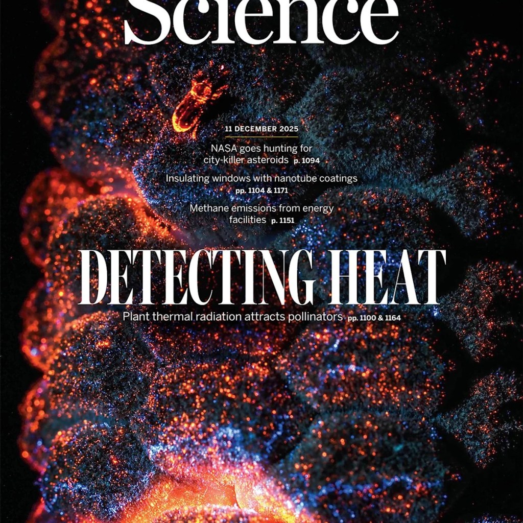 Certaines plantes font chauffer leurs organes reproducteurs pour attirer les pollinisateurs Certaines plantes font chauffer leurs organes reproducteurs pour attirer les pollinisateurs