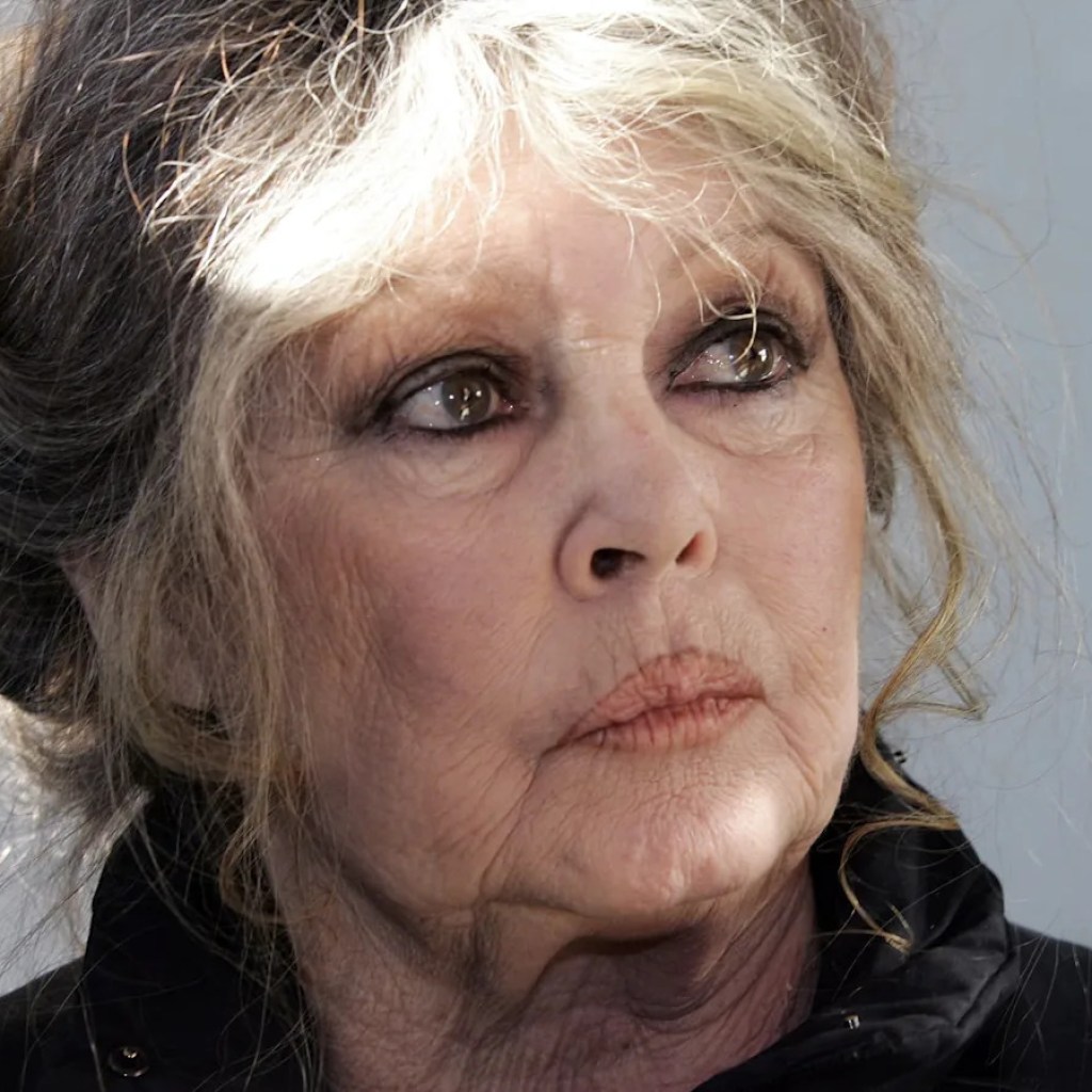 « En convalescence », Brigitte Bardot veut « rassurer » sur son état de santé « En convalescence », Brigitte Bardot veut « rassurer » sur son état de santé