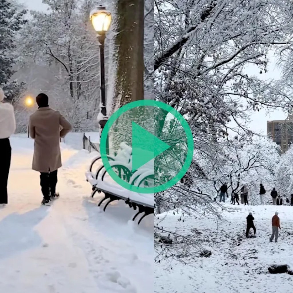 En pleine tempête de neige, New York et Central Park se sont transformés en paysage de film de Noël En pleine tempête de neige, New York et Central Park se sont transformés en paysage de film de Noël