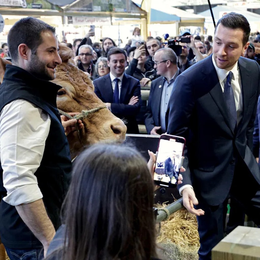 Volailles, dégustations et passes d’armes politiques: le Salon de l’agriculture 2026, « un début de campagne présidentielle » Volailles, dégustations et passes d’armes politiques: le Salon de l’agriculture 2026, « un début de campagne présidentielle »