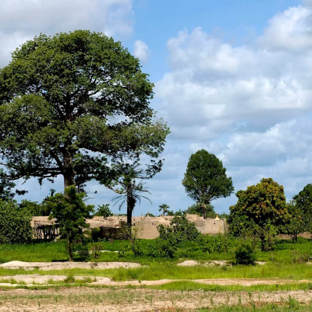 Au Burkina Faso, le fils de l’“homme qui a arrêté le désert” poursuit son œuvre Au Burkina Faso, le fils de l’“homme qui a arrêté le désert” poursuit son œuvre