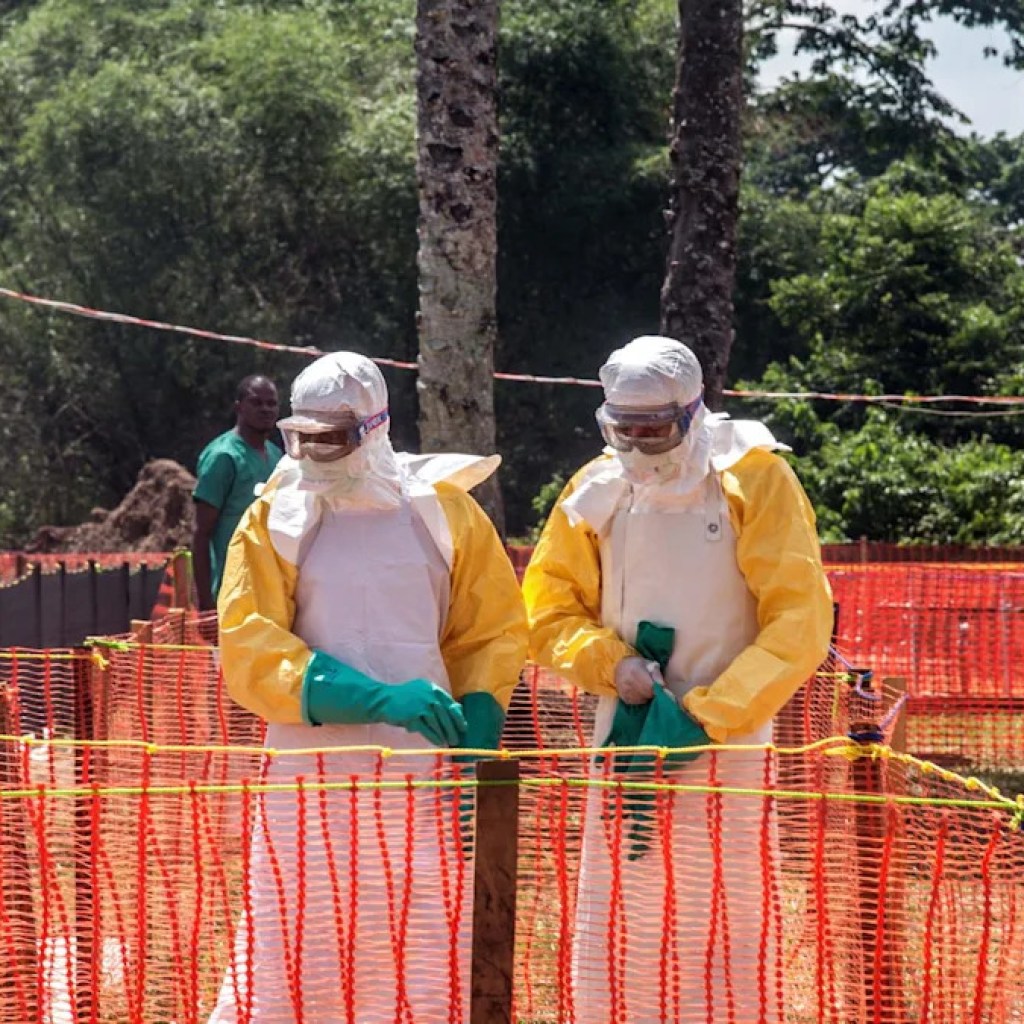 Pourquoi le territoire de Mayotte doit rester vigilant face à la circulation d’Ebola en RDC ? Pourquoi le territoire de Mayotte doit rester vigilant face à la circulation d’Ebola en RDC ?
