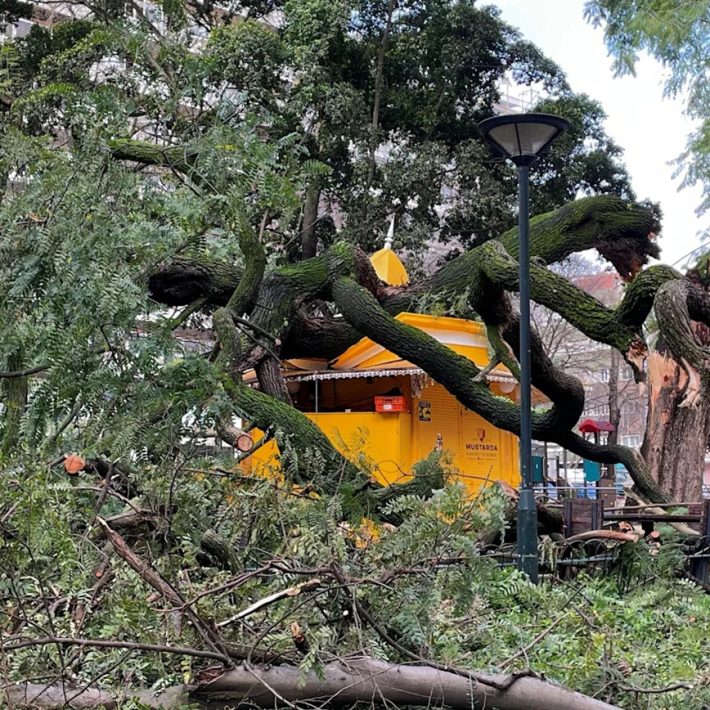 Au moins quatre morts et jusqu’à 850.000 foyers sans électricité après le passage de la tempête Kristin au Portugal Au moins quatre morts et jusqu’à 850.000 foyers sans électricité après le passage de la tempête Kristin au Portugal