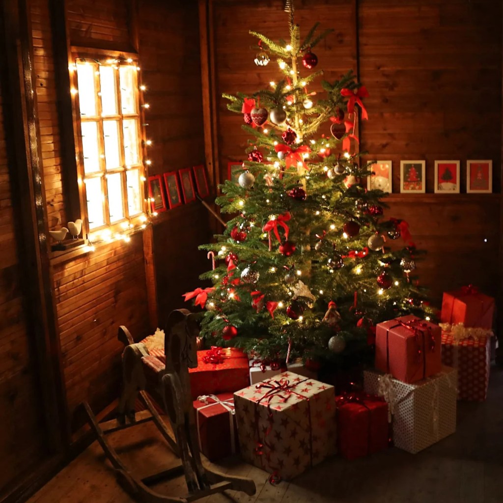 « Je voulais juste gagner un peu d’argent »: Alessio, 11 ans, a ému toute l’Italie en essayant de vendre ses livres et ses dessins pour acheter un cadeau à sa petite sœur « Je voulais juste gagner un peu d’argent »: Alessio, 11 ans, a ému toute l’Italie en essayant de vendre ses livres et ses dessins pour acheter un cadeau à sa petite sœur
