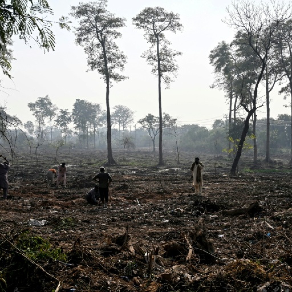 A Islamabad, béton et infrastructures militaires grignotent le paysage urbain A Islamabad, béton et infrastructures militaires grignotent le paysage urbain