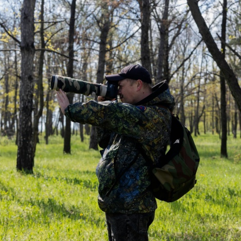 En Ukraine, les amoureux des oiseaux observent une hécatombe En Ukraine, les amoureux des oiseaux observent une hécatombe