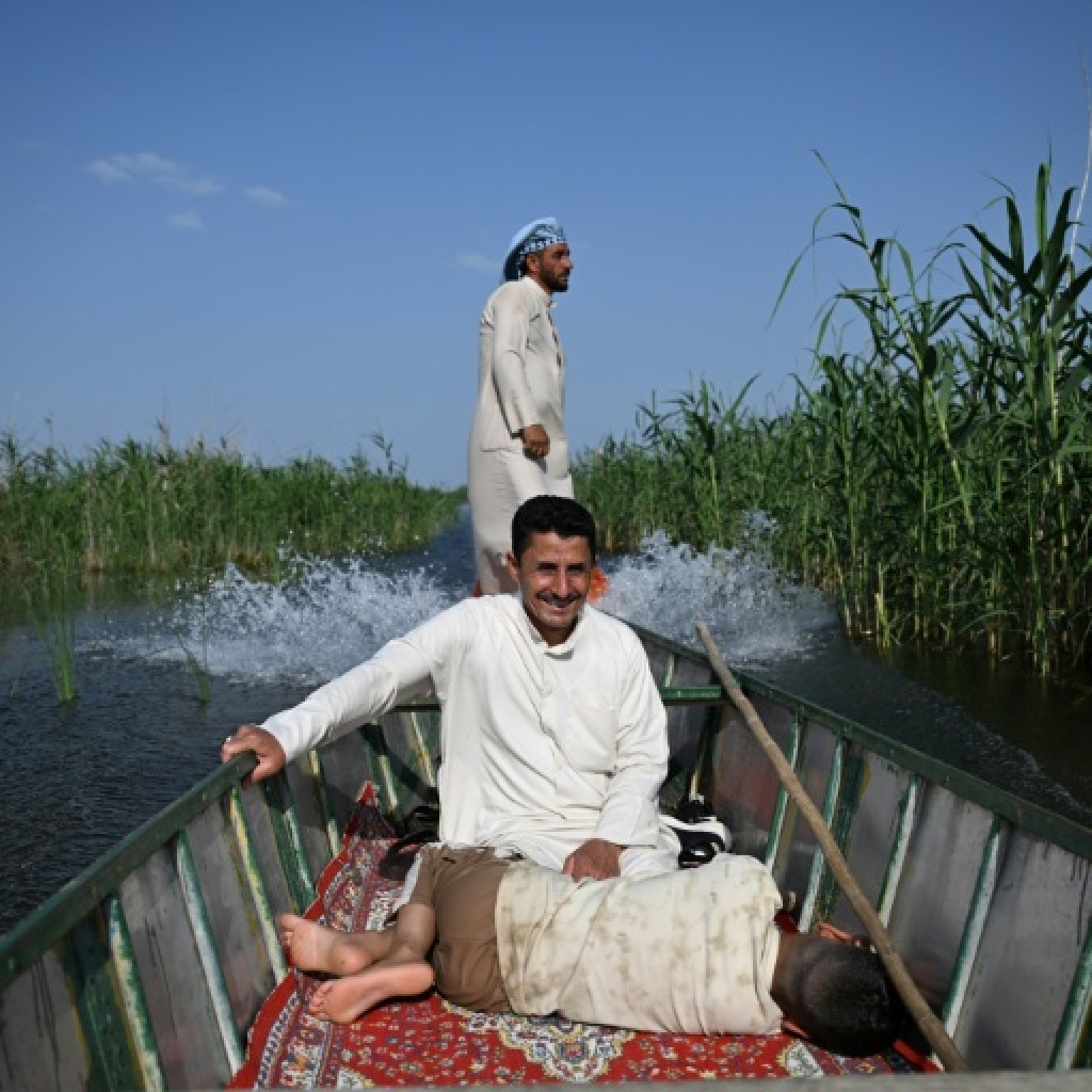 Irak: des pluies hivernales redonnent vie aux mythiques marais mésopotamiens Irak: des pluies hivernales redonnent vie aux mythiques marais mésopotamiens