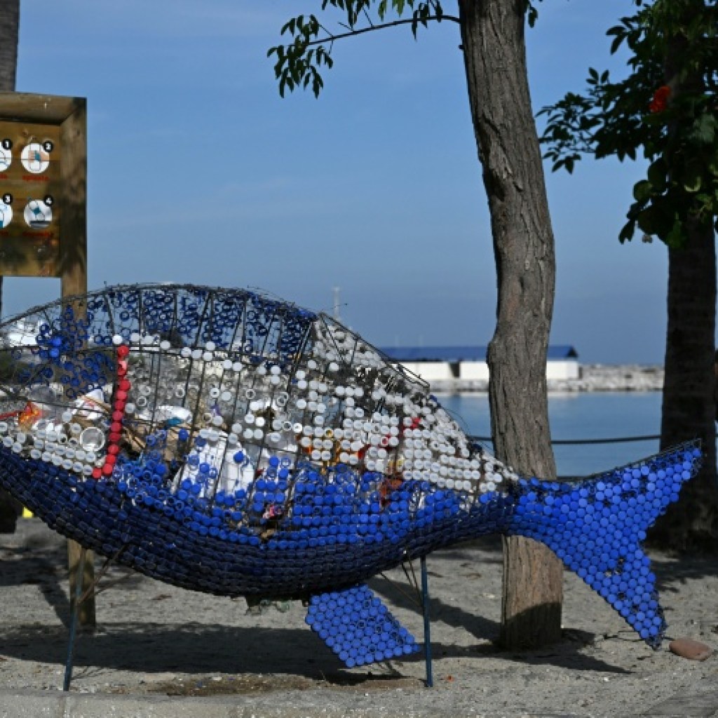 A la conférence de Santa Marta, la France vante son plan pour sortir des énergies fossiles A la conférence de Santa Marta, la France vante son plan pour sortir des énergies fossiles