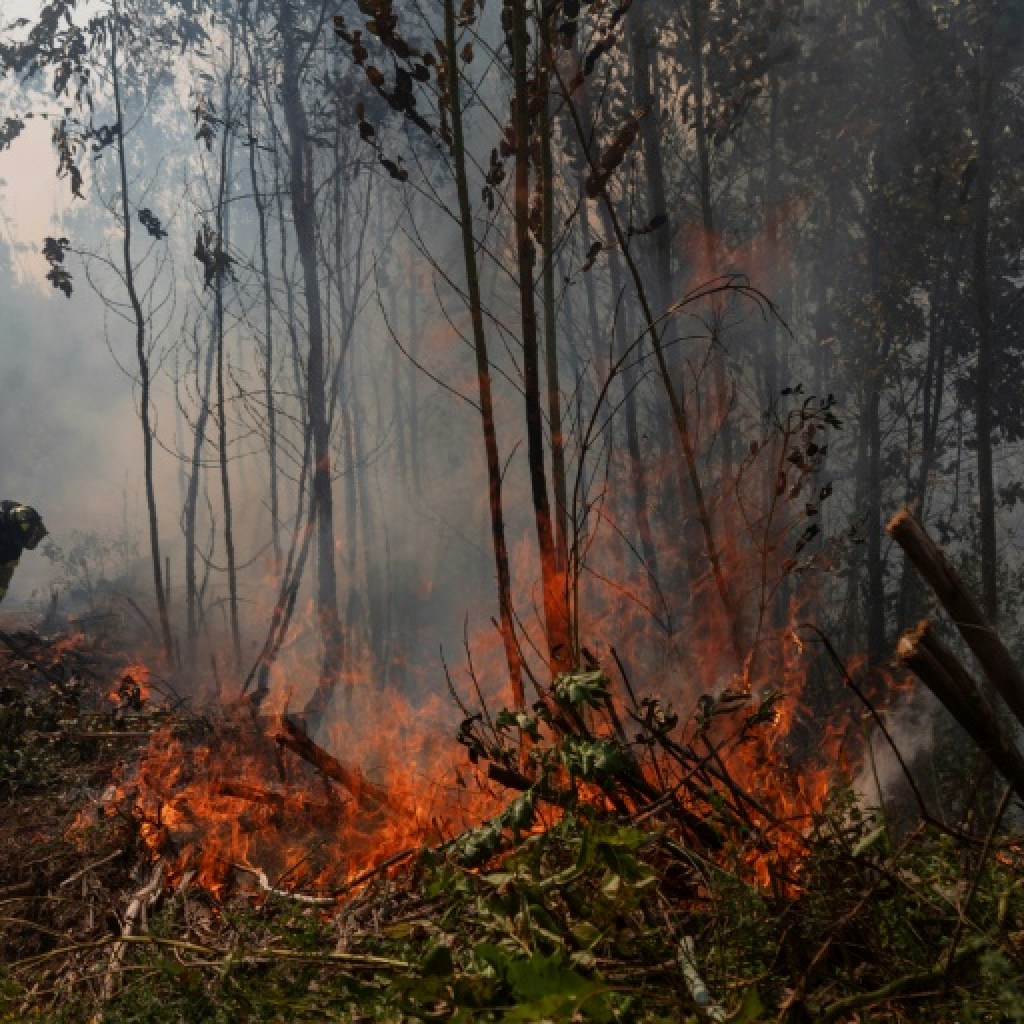 Incendies au Chili: situation toujours critique, des quartiers entiers ravagés Incendies au Chili: situation toujours critique, des quartiers entiers ravagés