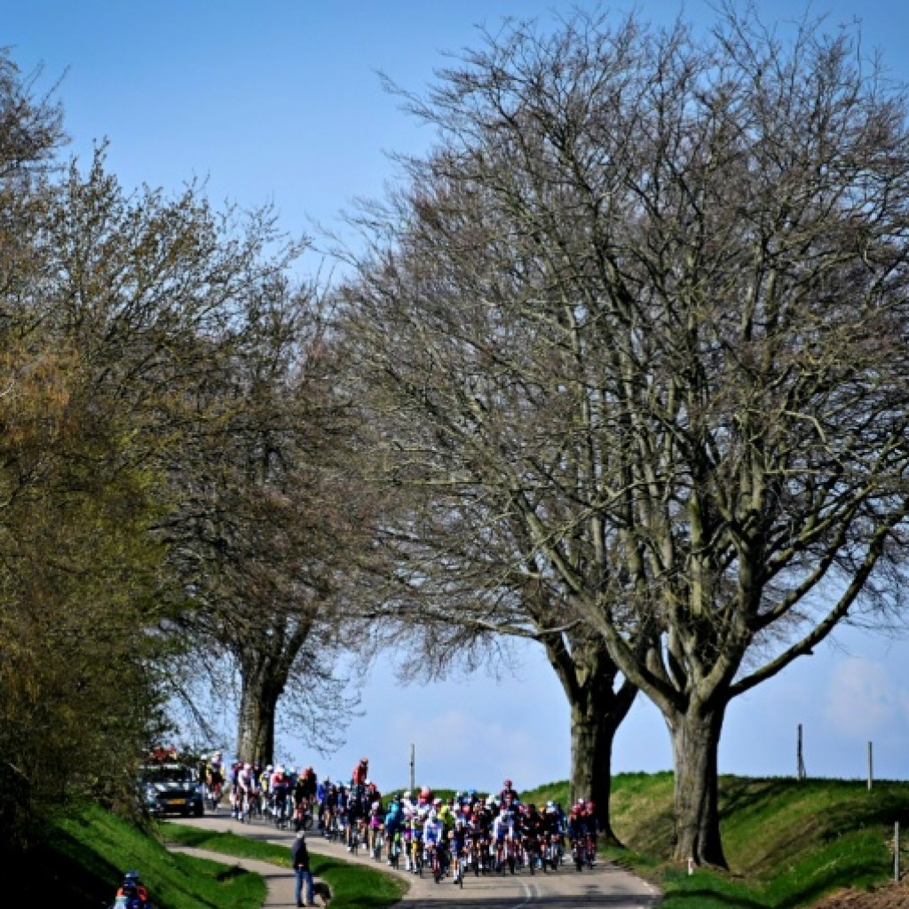Amstel Gold Race: Evenepoel grand favori en l’absence de Pogacar Amstel Gold Race: Evenepoel grand favori en l’absence de Pogacar