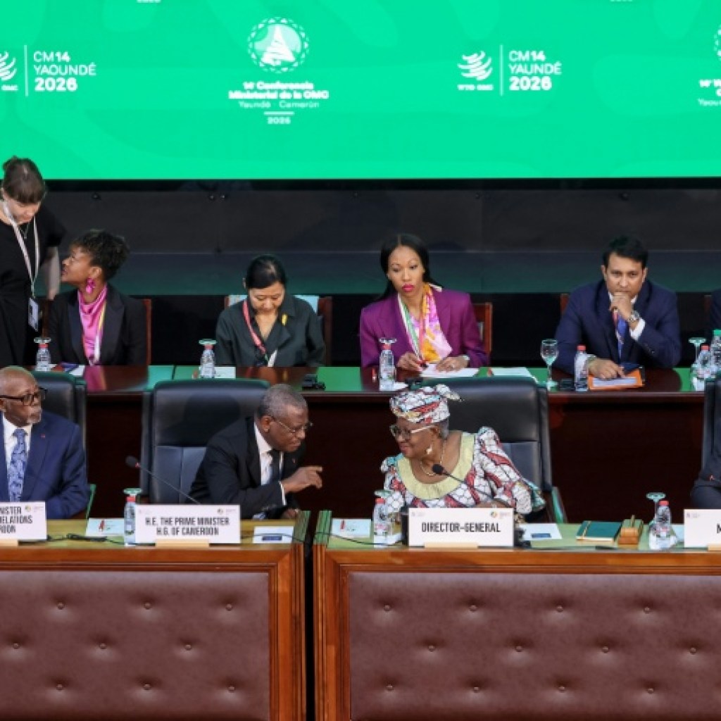 Vers une possible reconduction du moratoire sur les taxes numériques à l’OMC Vers une possible reconduction du moratoire sur les taxes numériques à l’OMC