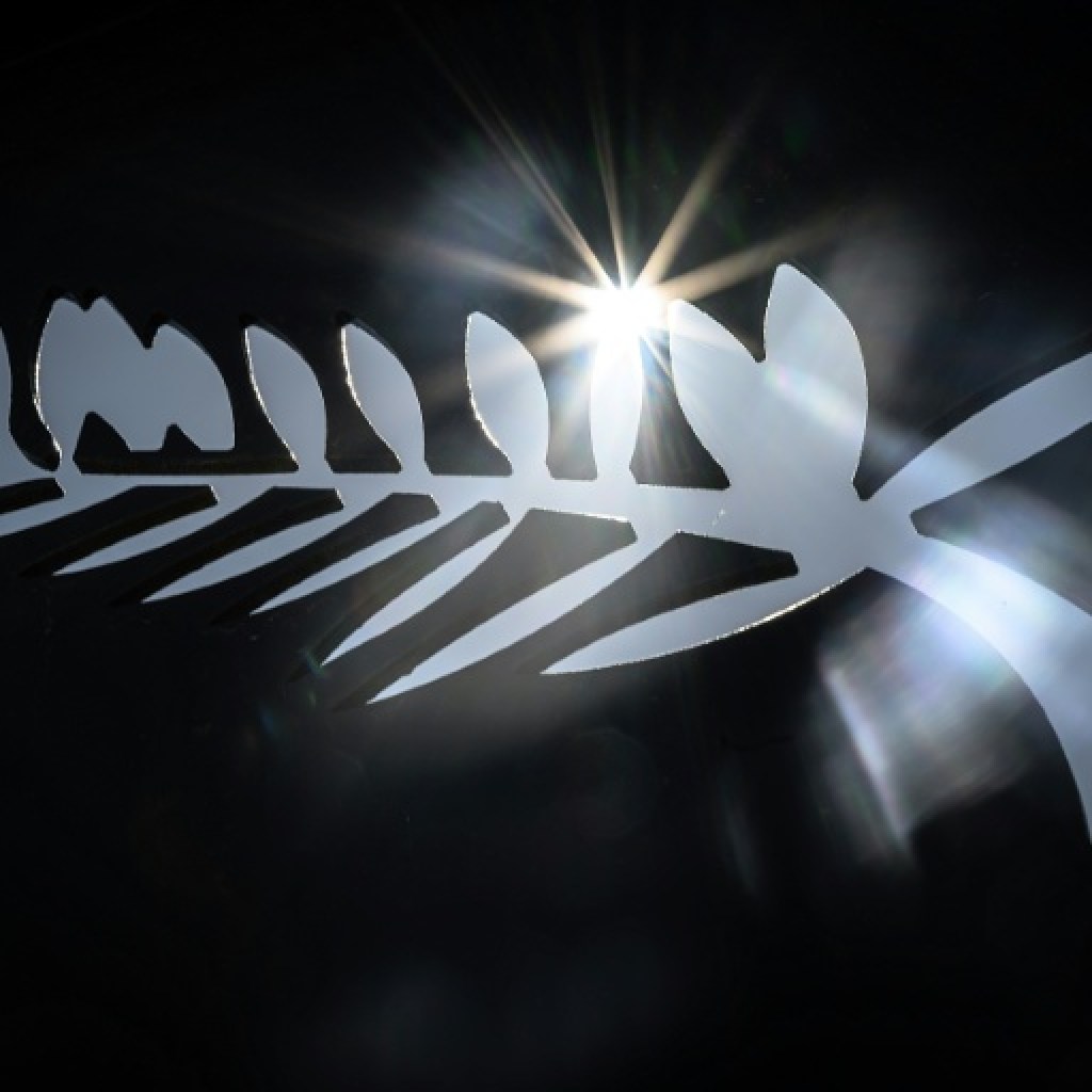 Le 79e festival de Cannes dévoile sa sélection officielle Le 79e festival de Cannes dévoile sa sélection officielle