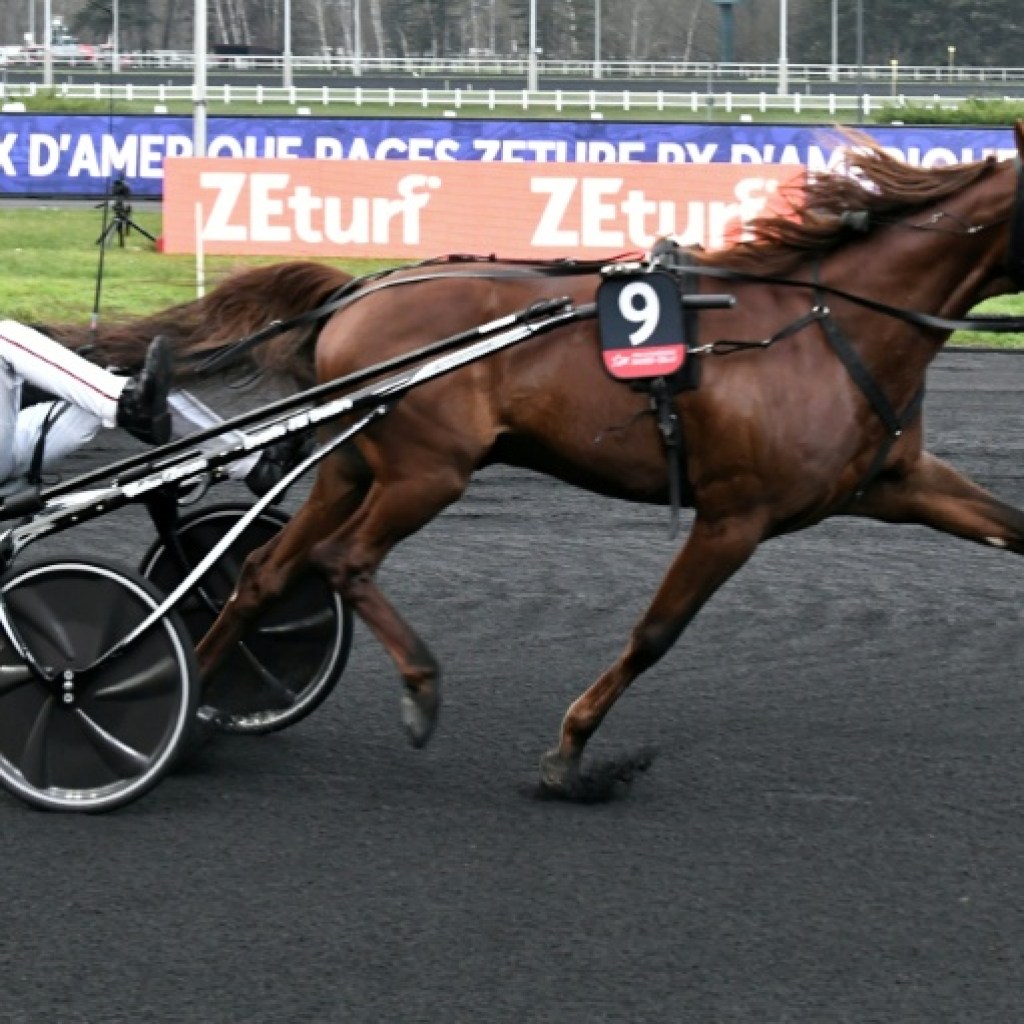 Prix de Paris: quatorze cracks trotteurs au départ du marathon de Vincennes Prix de Paris: quatorze cracks trotteurs au départ du marathon de Vincennes