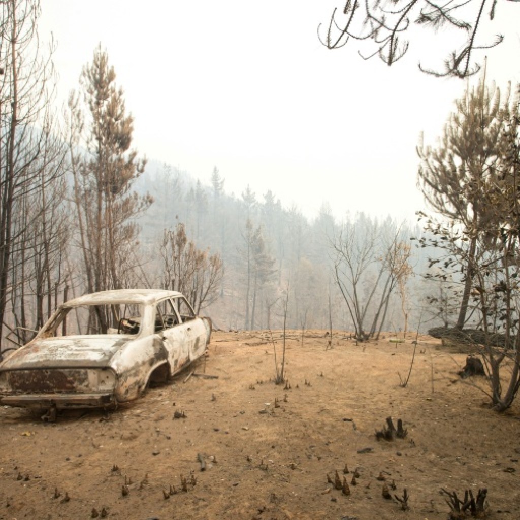 Feux de forêt en Patagonie argentine: le gouvernement déclare l' »urgence incendies » Feux de forêt en Patagonie argentine: le gouvernement déclare l' »urgence incendies »