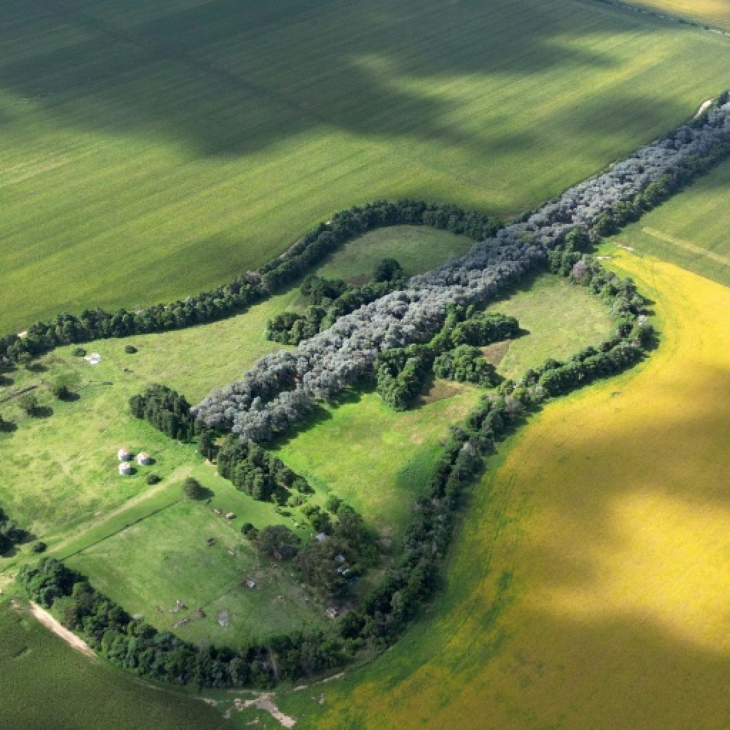 Argentine: une guitare géante plantée par amour meurtri Argentine: une guitare géante plantée par amour meurtri