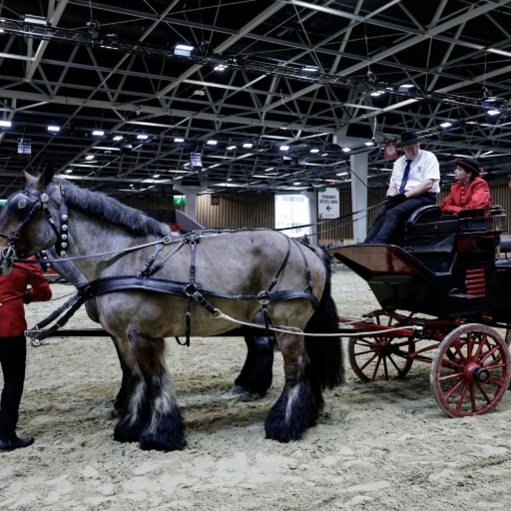 Emmanuel Macron inaugure un Salon de l’agriculture sans vaches et sans syndicats contestataires Emmanuel Macron inaugure un Salon de l’agriculture sans vaches et sans syndicats contestataires