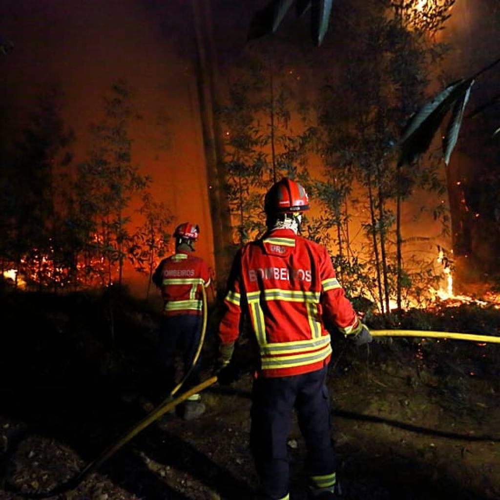 Tempêtes et incendies : comment le Portugal se prépare à affronter un « été terrible » ? Tempêtes et incendies : comment le Portugal se prépare à affronter un « été terrible » ?
