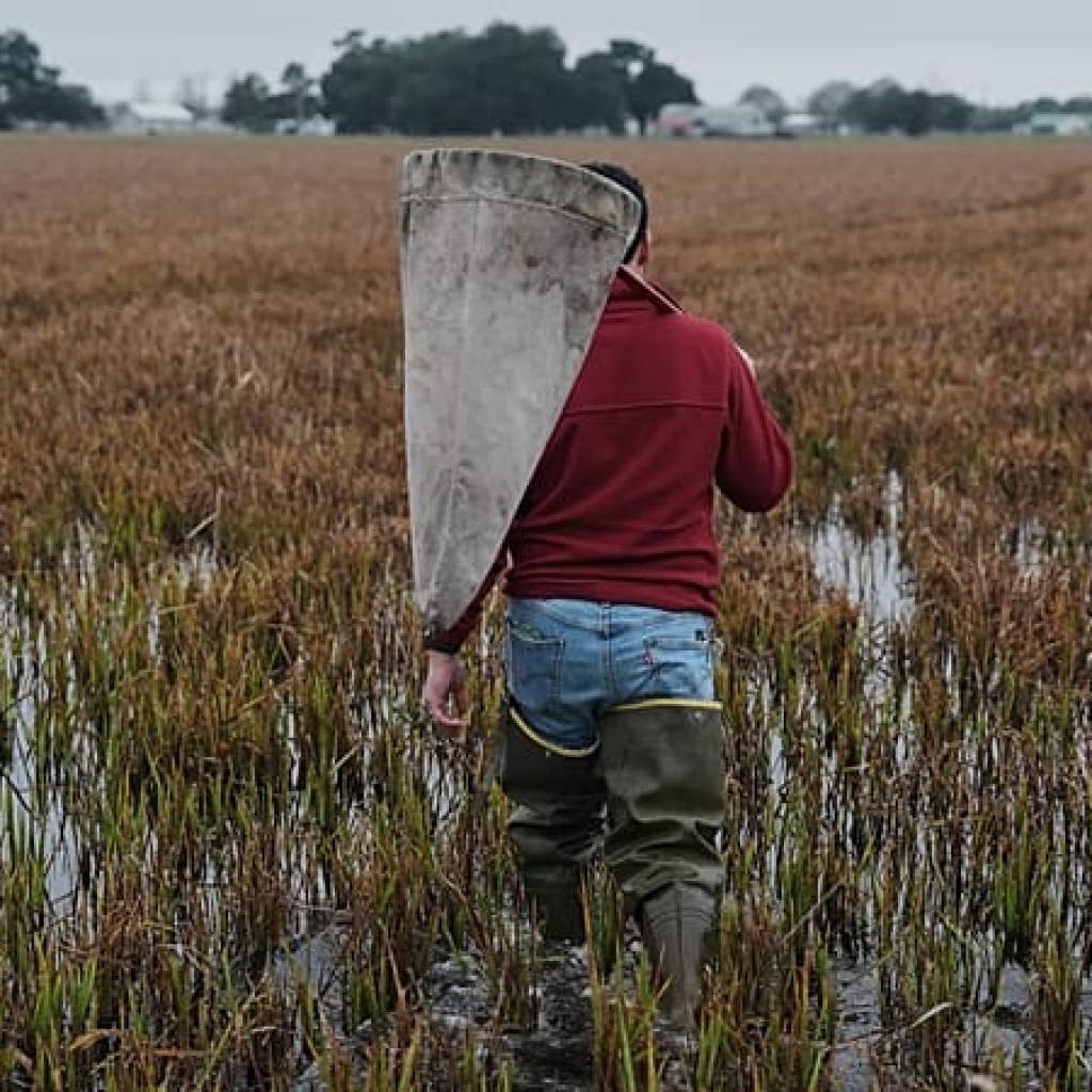 Les conflits poussent l’Asie centrale à repenser agriculture et sécurité alimentaire Les conflits poussent l’Asie centrale à repenser agriculture et sécurité alimentaire