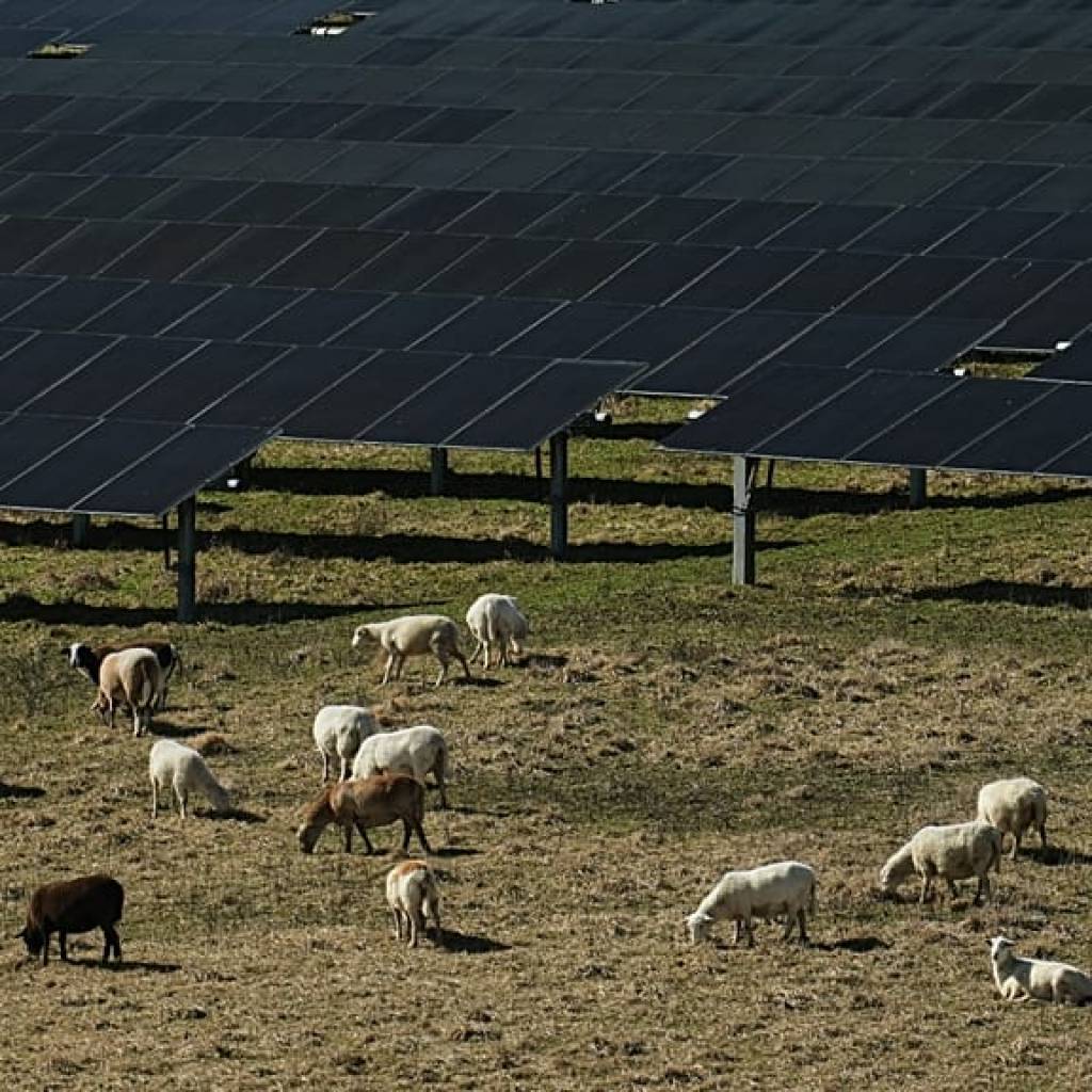Transformer les mesures de crise en réformes durables : des experts jugent le plan énergie de l’UE Transformer les mesures de crise en réformes durables : des experts jugent le plan énergie de l’UE