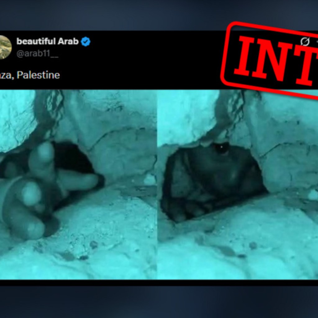 Non, ces images ne montrent pas une enfant sous les décombres à Gaza Non, ces images ne montrent pas une enfant sous les décombres à Gaza