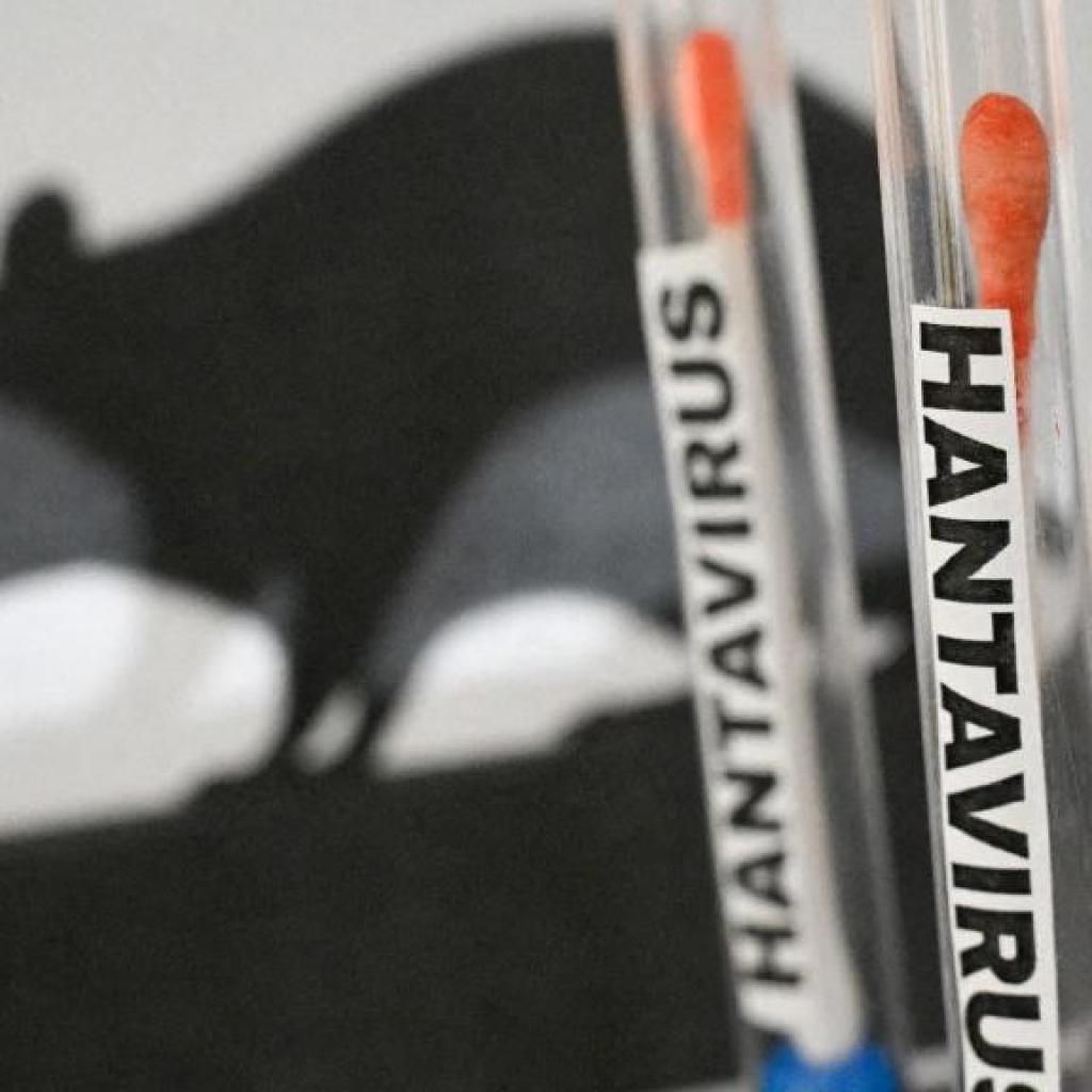 Hantavirus : en quoi consiste la mission sur l’épidémie à Ushuaïa, où des captures de rats vont être effectuées Hantavirus : en quoi consiste la mission sur l’épidémie à Ushuaïa, où des captures de rats vont être effectuées
