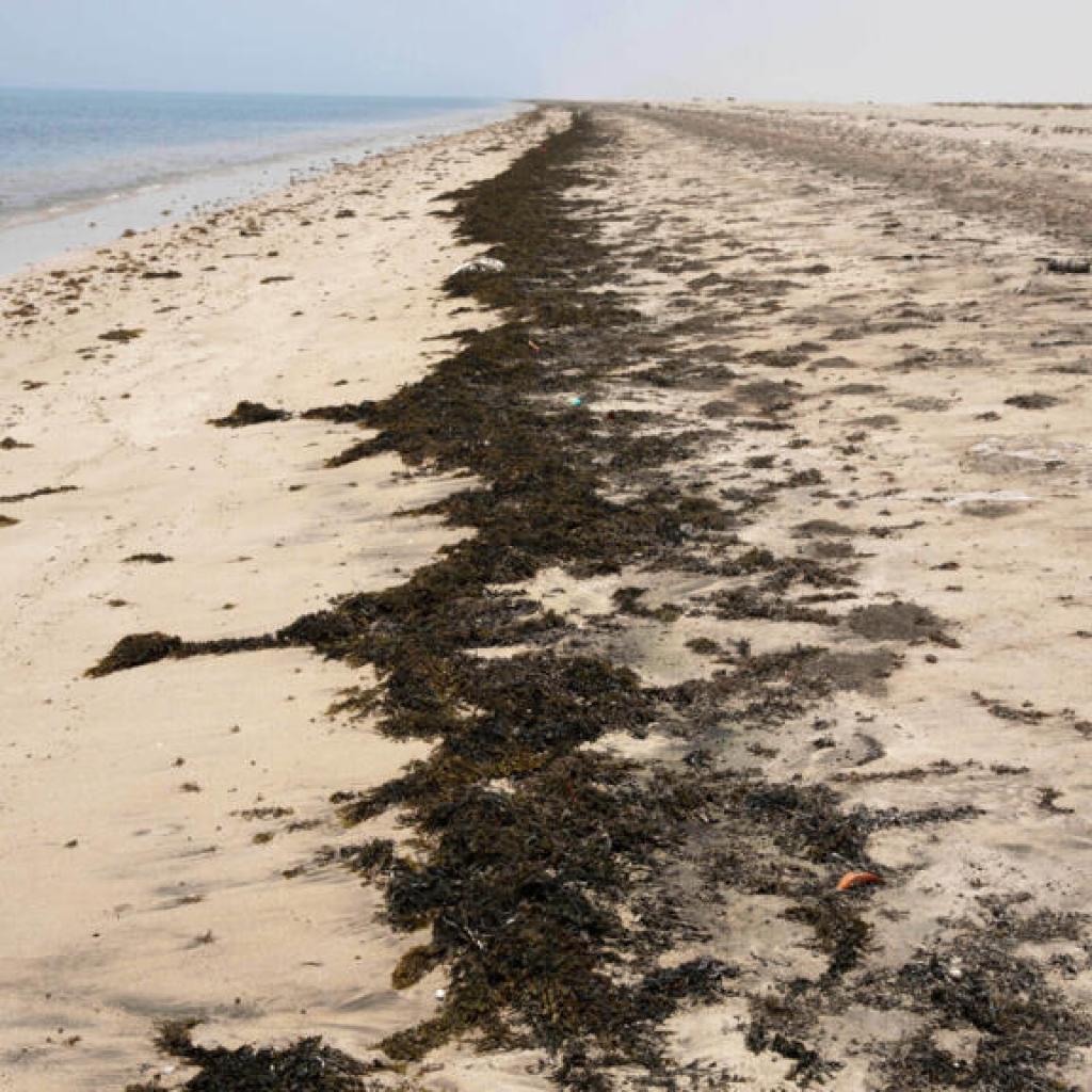 Un navire transportant plus de 320 migrants fait naufrage au large de Djibouti Un navire transportant plus de 320 migrants fait naufrage au large de Djibouti