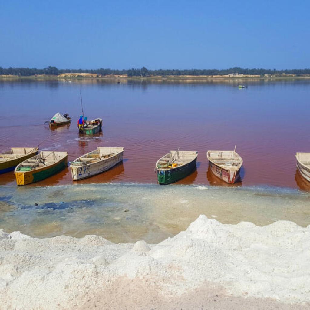 Sénégal: manifestation contre le projet de «ville verte» au Lac Rose près de Dakar Sénégal: manifestation contre le projet de «ville verte» au Lac Rose près de Dakar