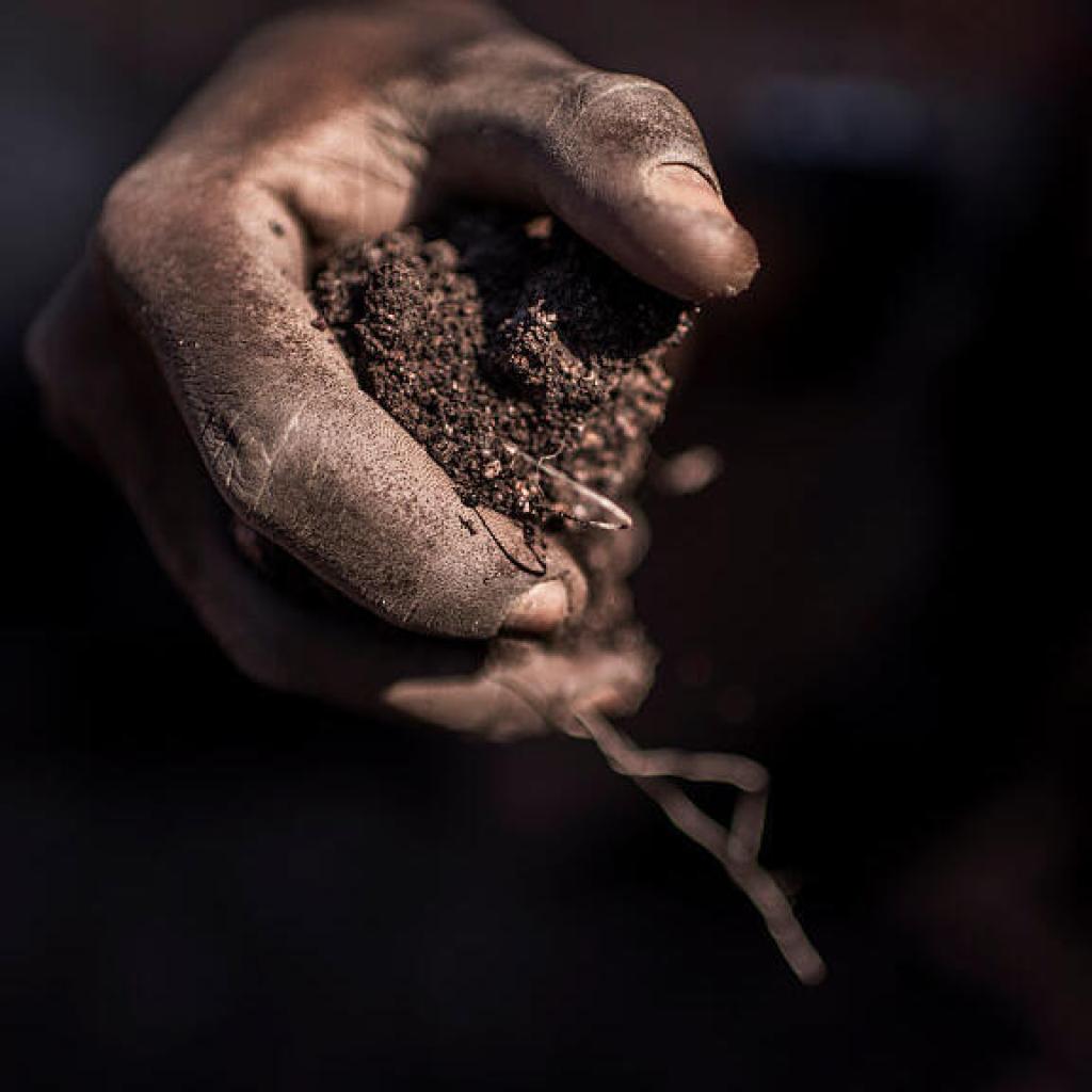 Namibie: les raisons du soutien de la Chine à la transformation locale des minerais stratégiques Namibie: les raisons du soutien de la Chine à la transformation locale des minerais stratégiques