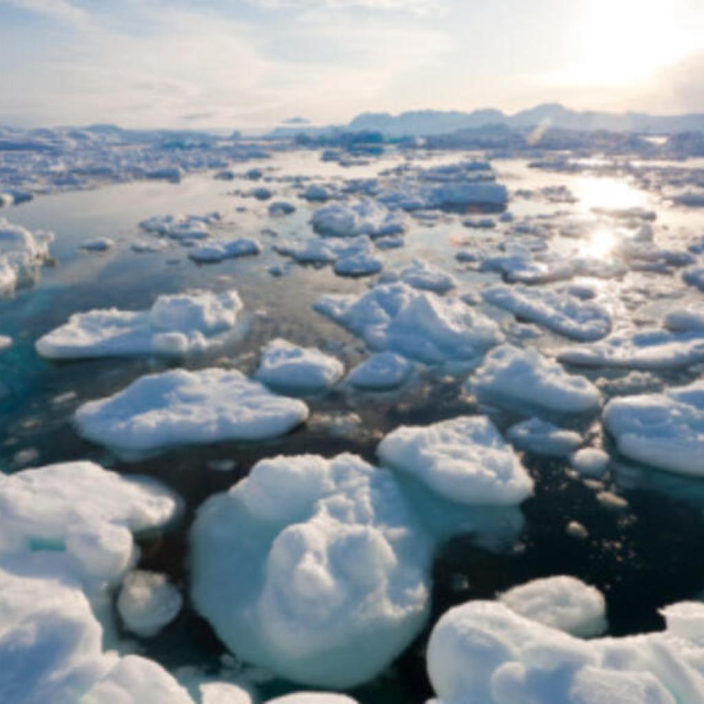 Environnement: réduction record de la banquise arctique cet hiver Environnement: réduction record de la banquise arctique cet hiver