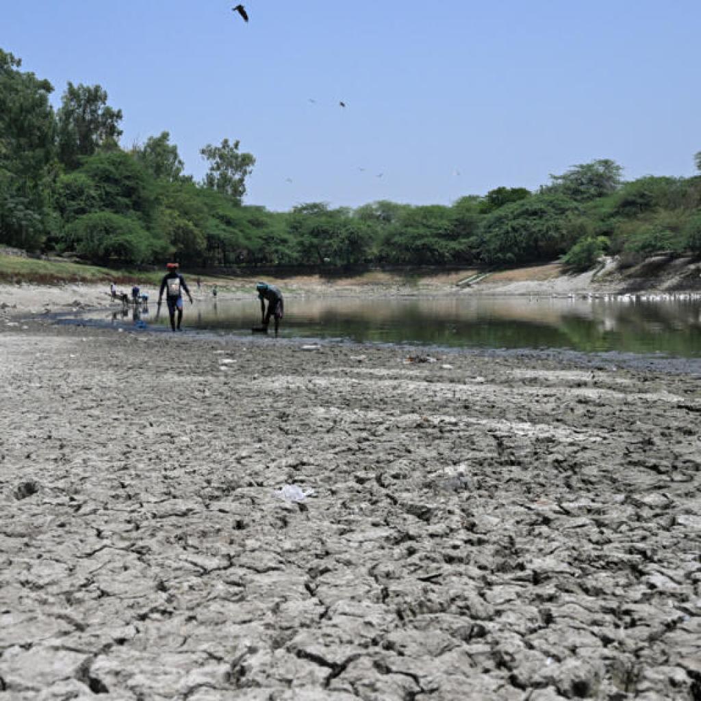 L’Inde suffoque sous une chaleur écrasante et explose sa consommation d’électricité L’Inde suffoque sous une chaleur écrasante et explose sa consommation d’électricité
