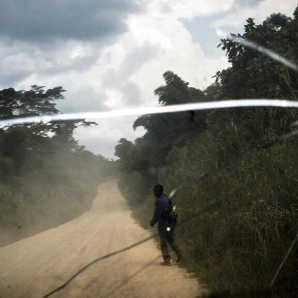 Est de la RDC: nouvelle attaque des ADF à Mambasa, plusieurs civils pris en otage Est de la RDC: nouvelle attaque des ADF à Mambasa, plusieurs civils pris en otage