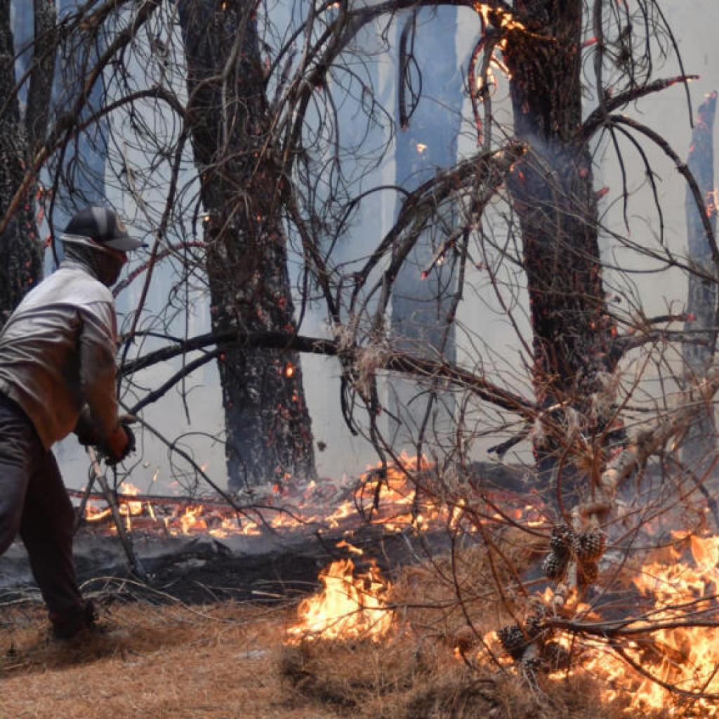 La Patagonie argentine à son tour en proie à de terribles incendies La Patagonie argentine à son tour en proie à de terribles incendies