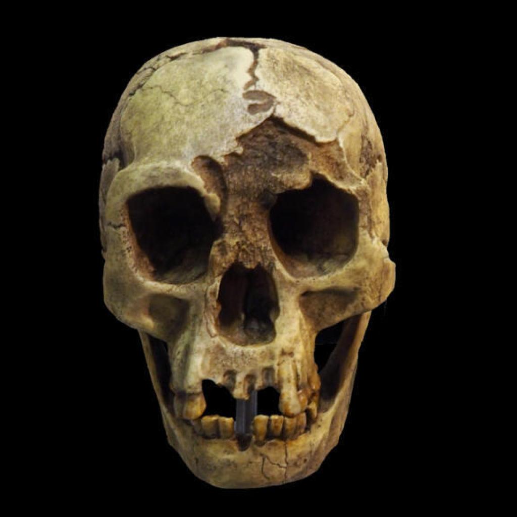 Une nouvelle étude met en lumière le rôle du climat dans la disparition de l’homme de Florès Une nouvelle étude met en lumière le rôle du climat dans la disparition de l’homme de Florès