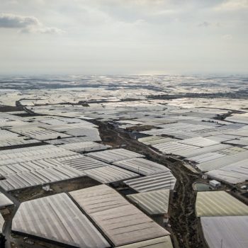 Almeria : la face cachée du potager de l’Europe Almeria : la face cachée du potager de l’Europe