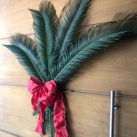 Um Domingo de Ramos diferente Um Domingo de Ramos diferente