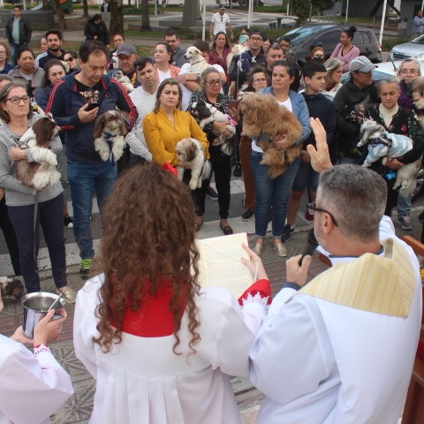 Benção dos Animais acontece durante a Festa de São Francisco de Assis Benção dos Animais acontece durante a Festa de São Francisco de Assis