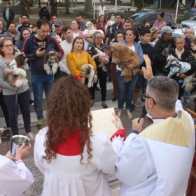 Benção dos Animais acontece durante a Festa de São Francisco de Assis Benção dos Animais acontece durante a Festa de São Francisco de Assis