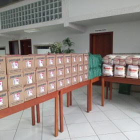Famílias atendidas pela paróquia recebem doações Famílias atendidas pela paróquia recebem doações