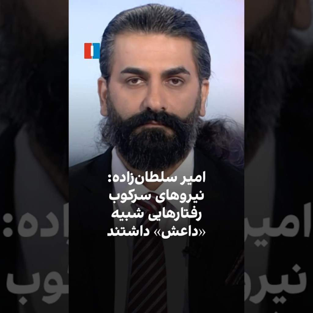 امیر سلطانزاده: نیروهای سرکوب رفتارهایی شبیه به داعش داشتند امیر سلطانزاده: نیروهای سرکوب رفتارهایی شبیه به داعش داشتند