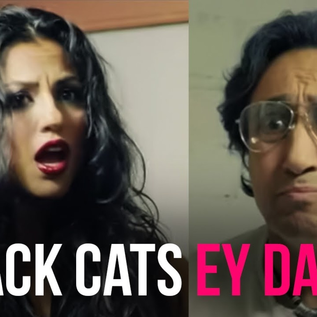 Black Cats – Ey Daad | بلک کتز – ای داد Black Cats – Ey Daad | بلک کتز – ای داد