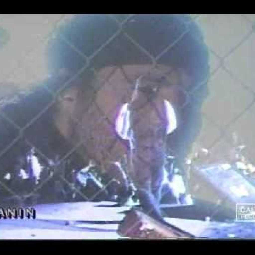 Andy – Beegharar | اندی – بیقرار Andy – Beegharar | اندی – بیقرار