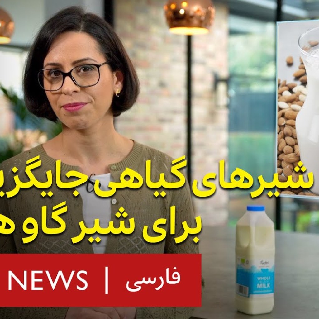 شیر گاو بنوشیم یا شیر گیاهی؟ ۳۷درجه شیر گاو بنوشیم یا شیر گیاهی؟ ۳۷درجه