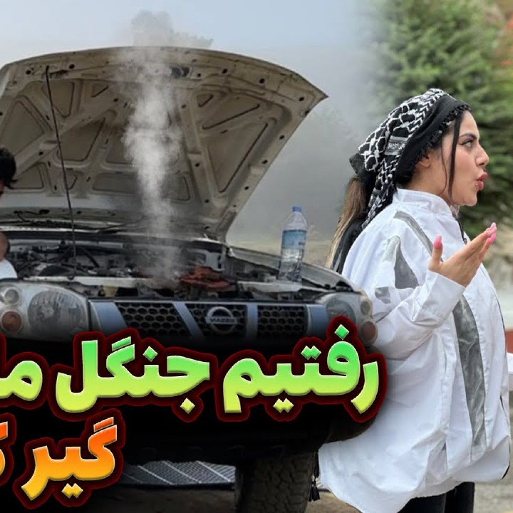ماشینمون تو جنگل خراب شد تا شب گیر افتادیم ماشینمون تو جنگل خراب شد تا شب گیر افتادیم