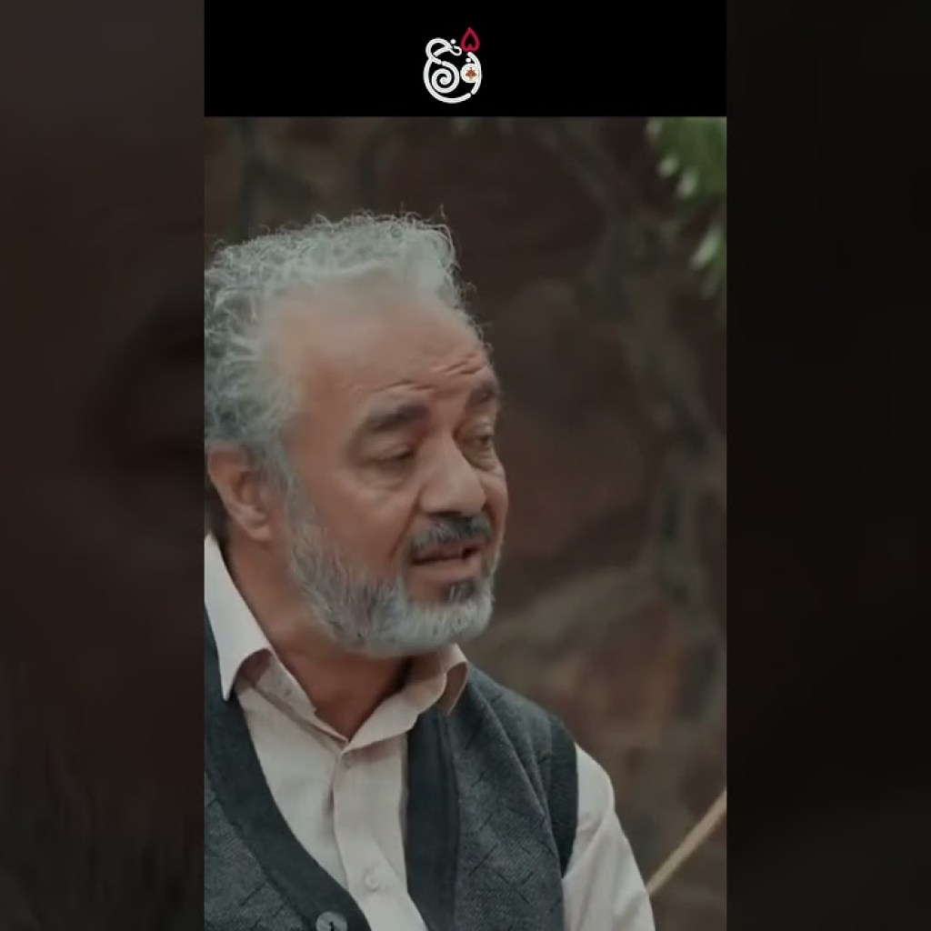 حس میکنم شما روباه مکاری و این هم گربه نره #shorts حس میکنم شما روباه مکاری و این هم گربه نره #shorts