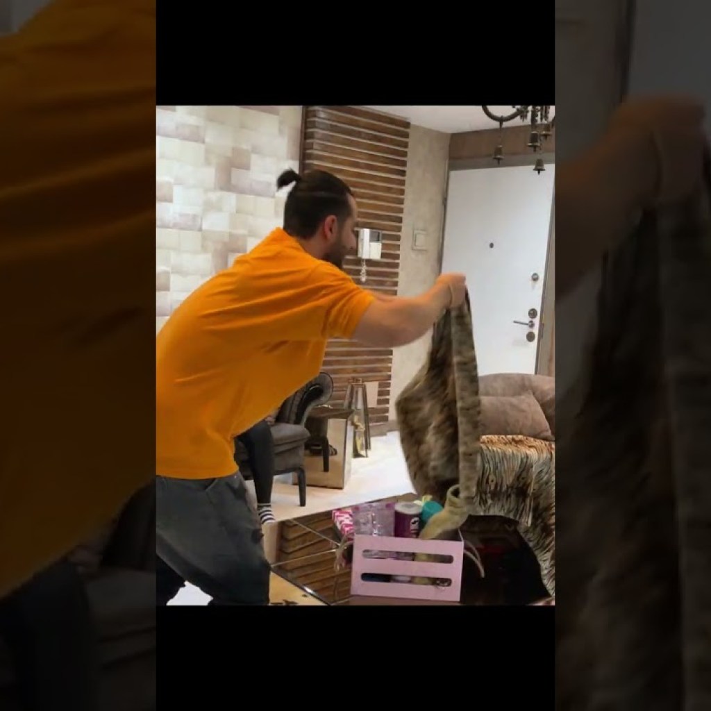 رضا آرامش با باکس پریودی سورپرایزش کرد😍 رضا آرامش با باکس پریودی سورپرایزش کرد😍