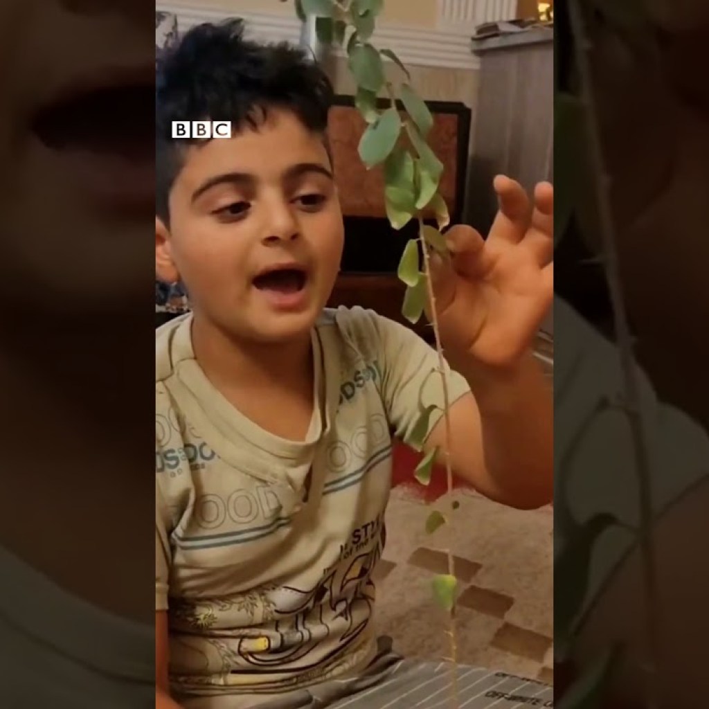 مادر کیان پیرفلک، ویدیویی از فرزندش در حال نشان دادن نهالی که کاشته منتشر کرد مادر کیان پیرفلک، ویدیویی از فرزندش در حال نشان دادن نهالی که کاشته منتشر کرد