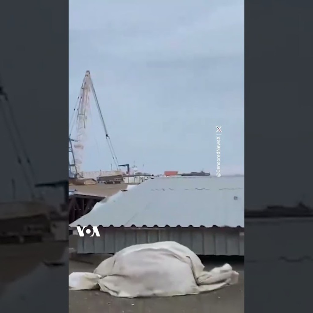 ویدئوی منتسب به سقوط هواپیمای مسافربری در قزاقستان ویدئوی منتسب به سقوط هواپیمای مسافربری در قزاقستان