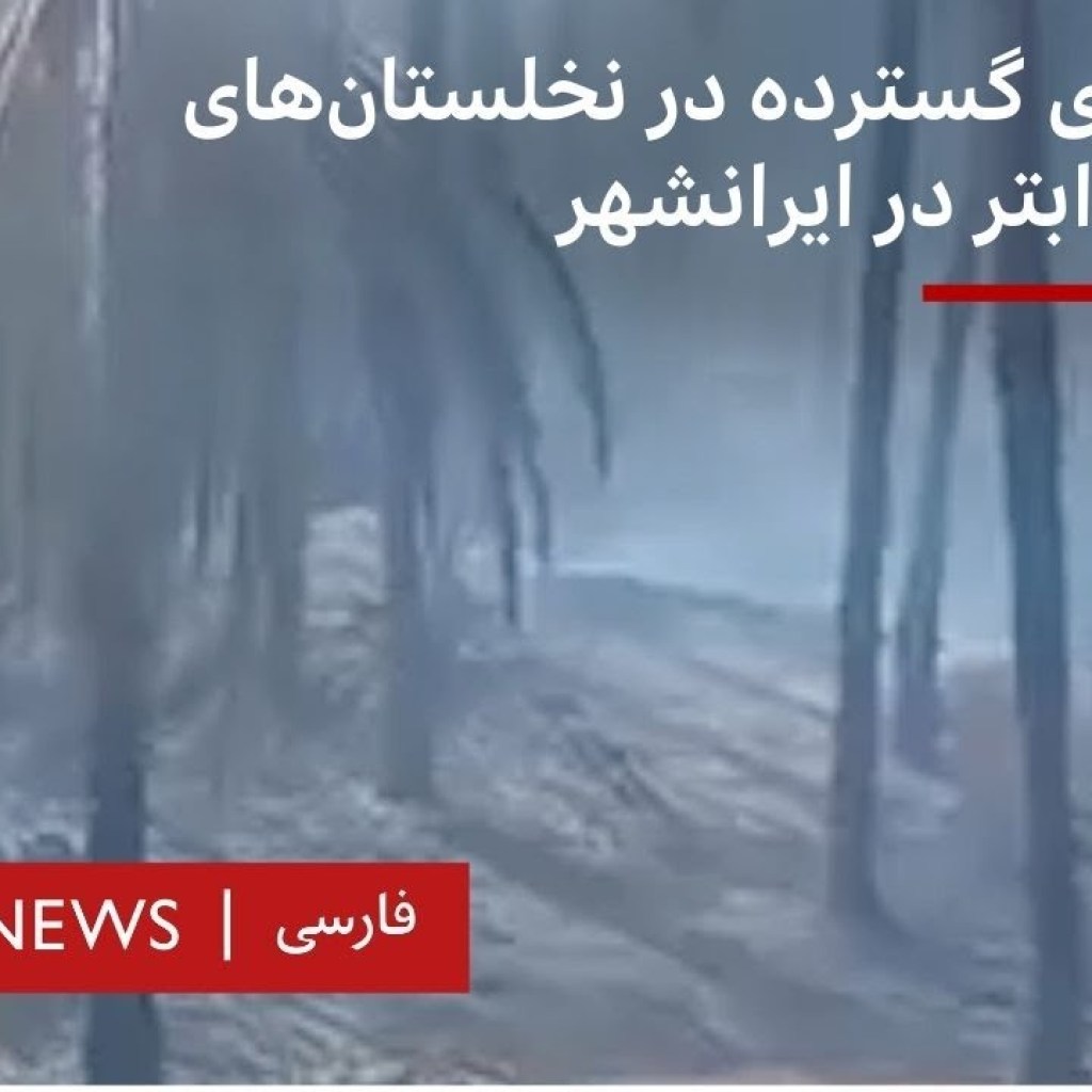 آتشسوزی گسترده در نخلستانهای دهستان ابتر در ایرانشهر آتشسوزی گسترده در نخلستانهای دهستان ابتر در ایرانشهر
