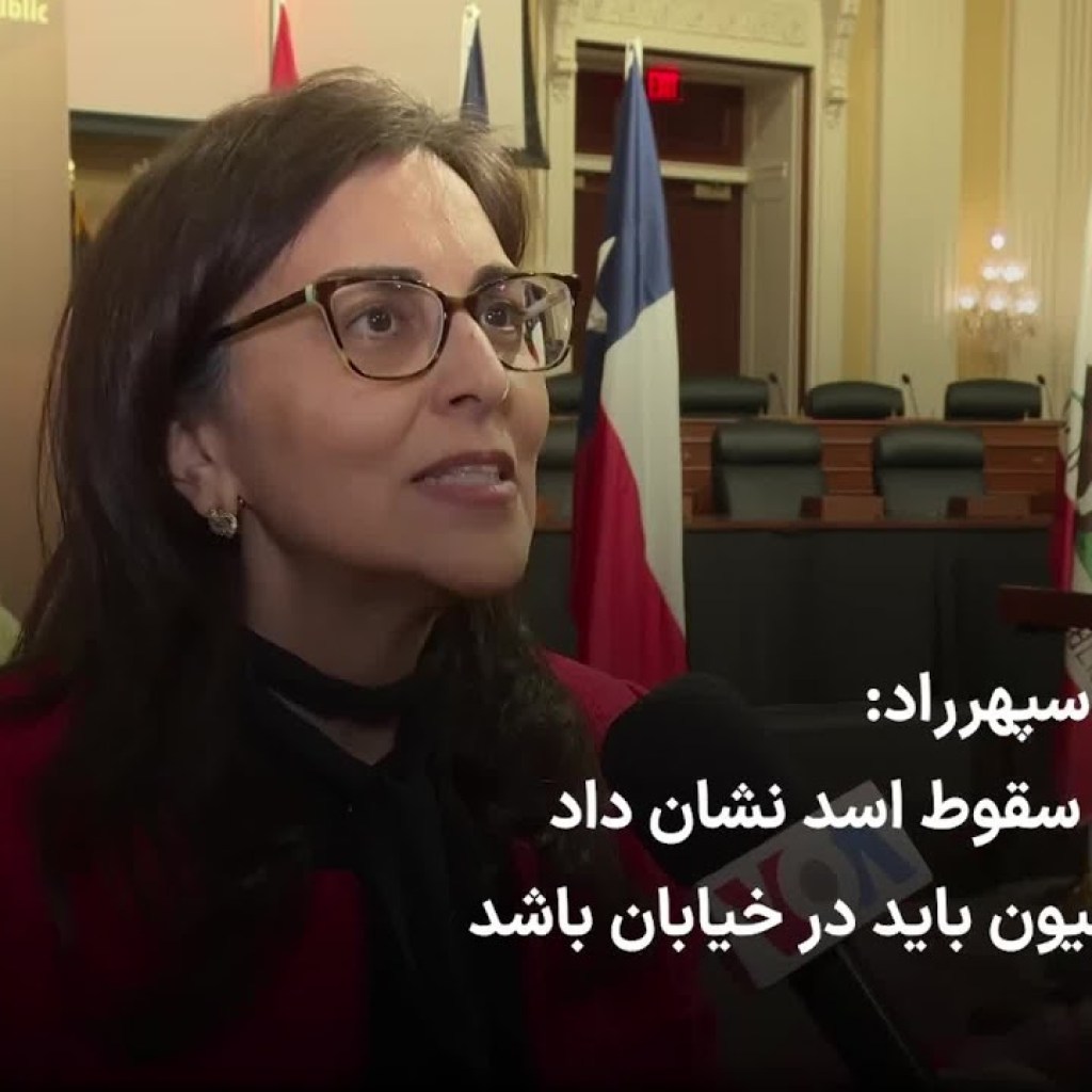 رامش سپهرراد: تجربه سقوط اسد نشان داد اپوزیسیون باید در خیابان باشد رامش سپهرراد: تجربه سقوط اسد نشان داد اپوزیسیون باید در خیابان باشد