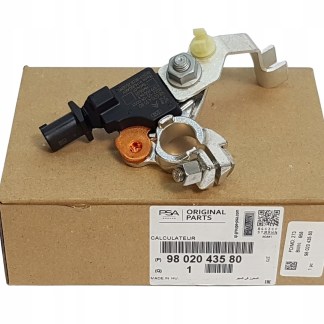 Klema Citroen Peugeot 9802043580 Oryginał Klema Citroen Peugeot 9802043580 Oryginał